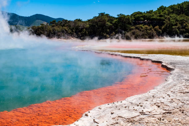 Beautiful scenery of thermal land, Rotorua, North Island,  New Zealand. Beautiful scenery of thermal land, Rotorua, North Island,  New Zealand.. rotorua stock pictures, royalty-free photos & images
