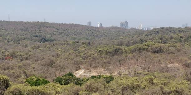 Sanjay Gandhi National Park Mumbai