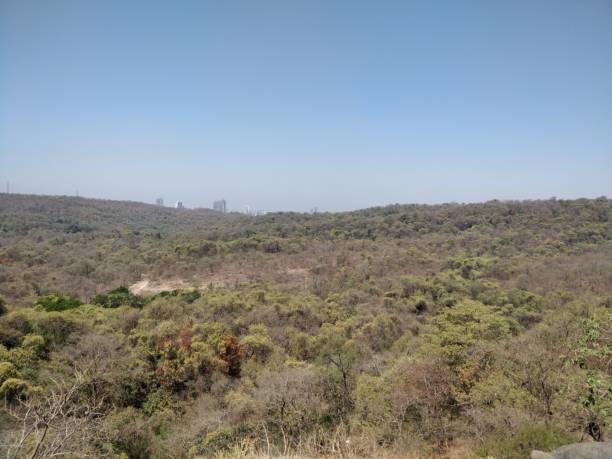 istock Sanjay Gandhi National Park Mumbai 1138433253