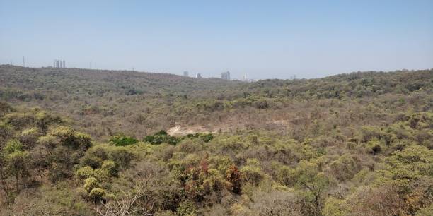 istock Sanjay Gandhi National Park Mumbai 1138433255