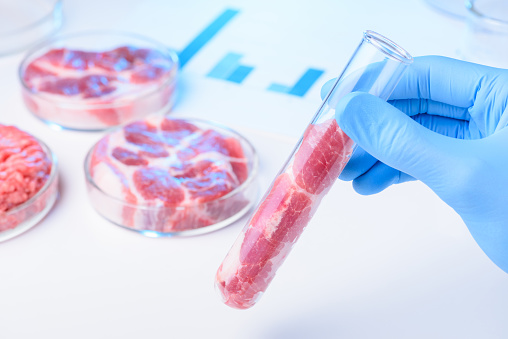 Meat sample in test tube. Lab meat or quality inspection concept.