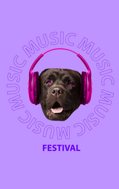 istock Funny dog's head. Modern design. Contemporary art collage. 1138436776