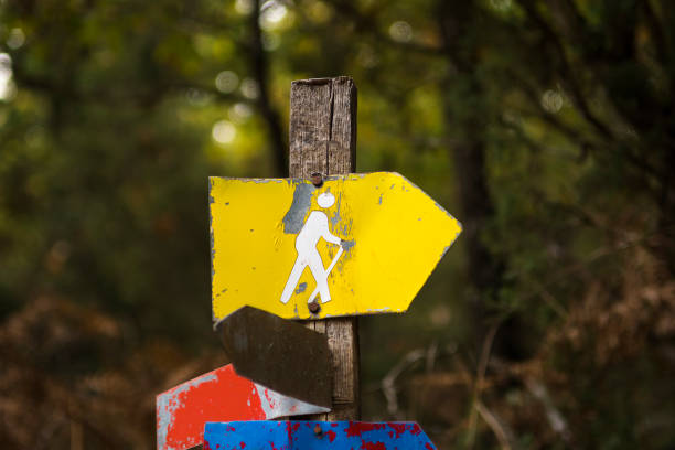 Hiking sign in the forest, close up