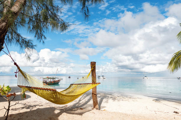 amaca sulla spiaggia idilliaca di zanzibar - nobody africa summer tourist resort foto e immagini stock