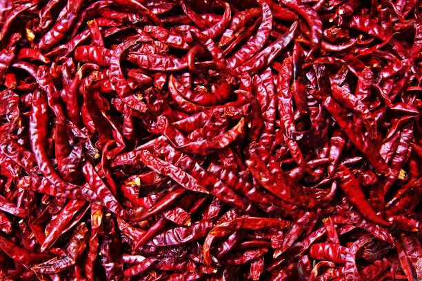 Closed up dried red chili - Bangkok fresh market. stock photo