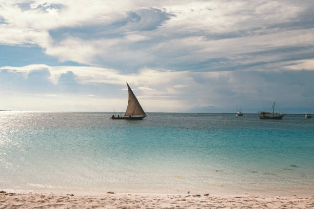 istock typical sailboat passing the coast of zanzibar 1138440448