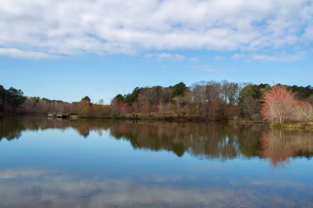 istock Little Mulberry Park, GA Lake Reflection 1138441395