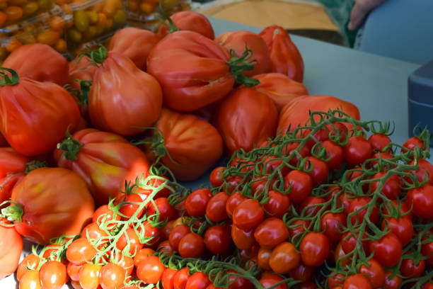 istock On the counter are tomatoes of different varieties. 1138443456