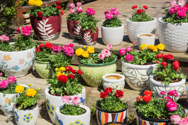 istock Flower pots in the garden 1138443593