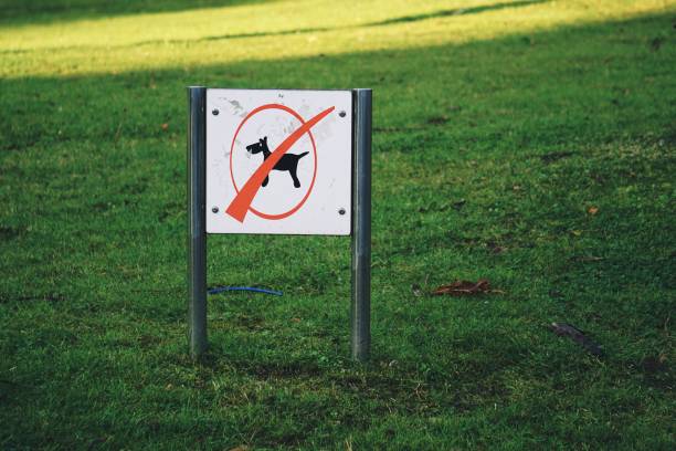 istock warning signal in the street 1138449440