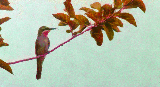 The Bee Eater, A Bee Eater on an early spring day, Spring bird. Oil painting style, A Bird illustration on canvas with pink color.