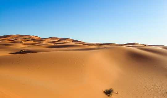 Nature and landscapes of desert, with beautiful curve in vast desert, Growth of temperature and climatic changes on Earth