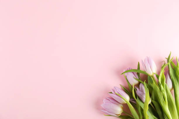 istock Floral composition in minimal style with purple flowers. 1138456566