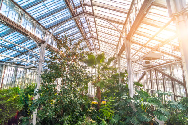 serre tropicale avec des bosquets d'arbres et de palmiers. - tropical climate waterfall formal garden ornamental garden photos et images de collection