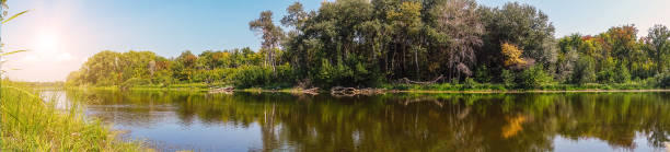 istock Panorama of forest river on a Sunny day 1138458181