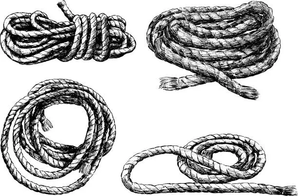 Vector illustration of Sketches of skeins of rigging rope