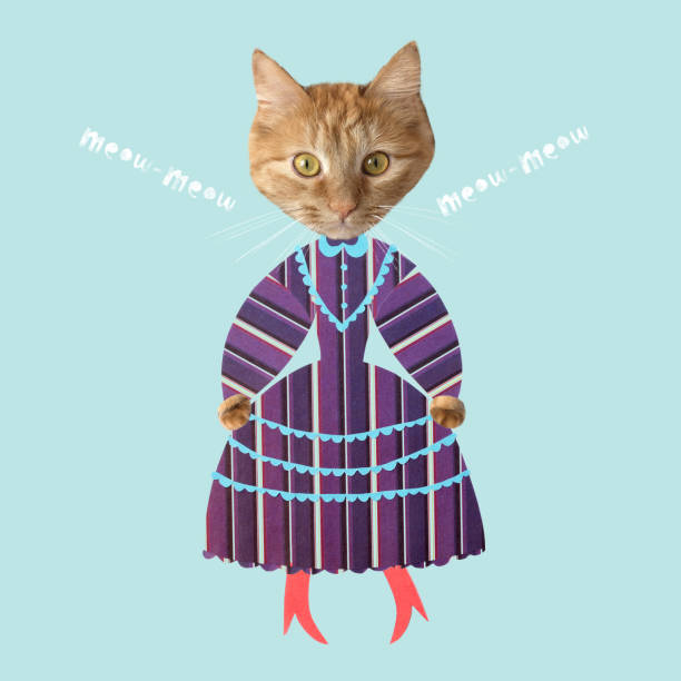 Creative cut out dress on cat with lettering meow. Ginger cat in striped vintage dress and with red boots. Vaporwave style concept