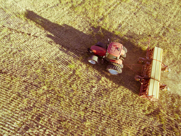 istock Field pampeano.vista aerial 1138465698
