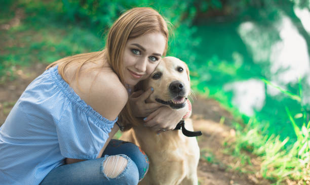 istock Girl playing with dog labrador outdoor 1138467253