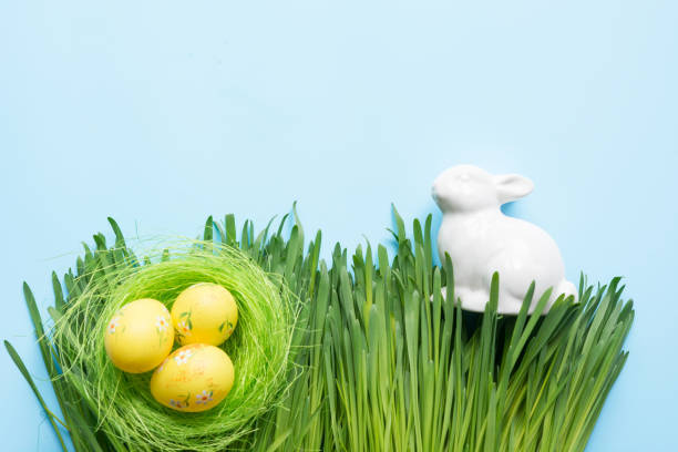 istock Easter composition of yellow eggs in nest and bunny in grass. Space for text. 1138469685