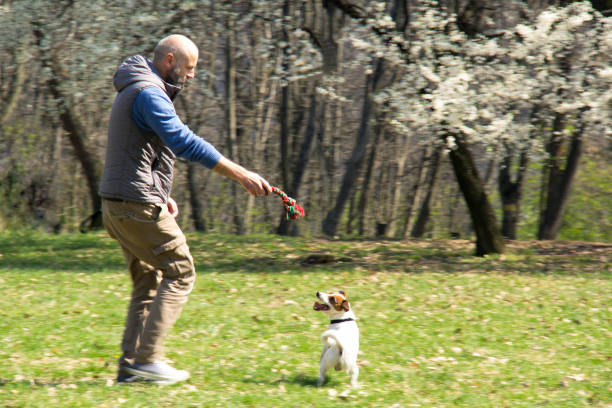 istock Man with a dog in the park, during early Spring time 1138472307