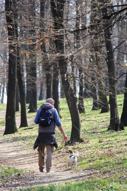 istock Man with a dog in the park, during early Spring time 1138472368