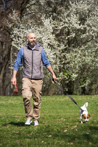 istock Man with a dog in the park, during early Spring time 1138473071