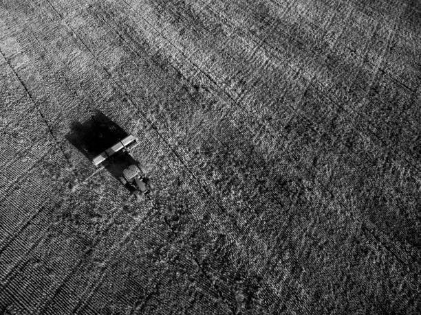 istock Field pampeano.vista aerial 1138473614
