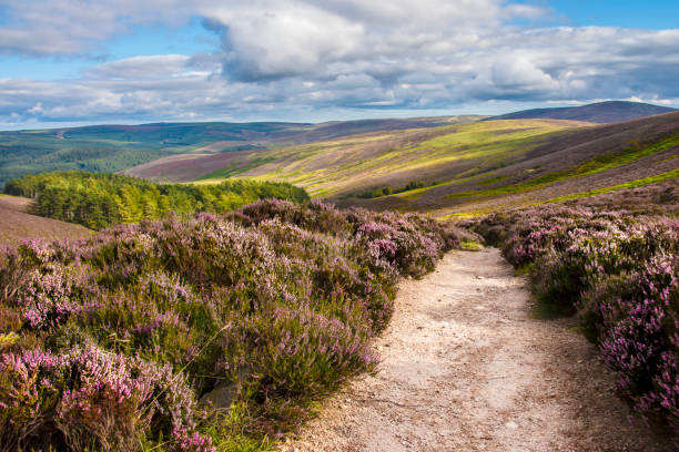Hiking trail in Cairngorms National Park. Aberdeenshire, Scotland Hiking trail in Cairngorm Mountains. Glen Dye, Aberdeenshire, Scotland, UK cairngorm mountains stock pictures, royalty-free photos & images