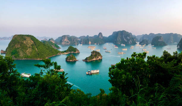 panorama ha long bay z dziesiątkami łodzi podczas zachodu słońca, wietnam - halong bay zdjęcia i obrazy z banku zdjęć