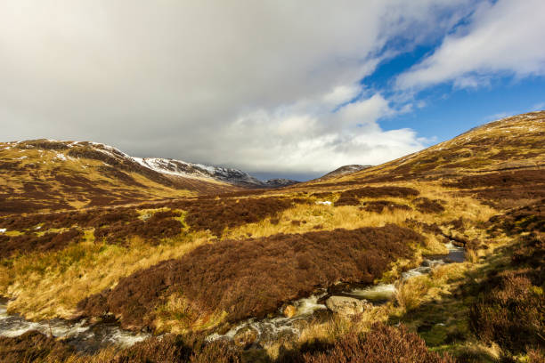 istock A mountain stream in a grassy valley under a majestic blue sky and white clouds 1138477624