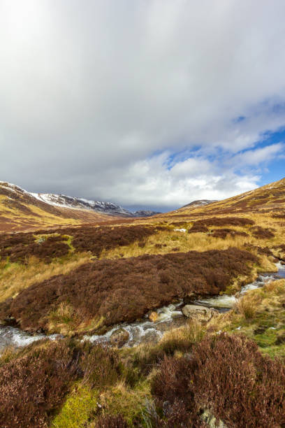 istock A mountain stream in a grassy valley under a majestic blue sky and white clouds 1138477670