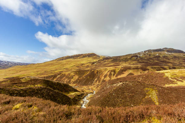 istock A mountain stream in a grassy valley under a majestic blue sky and white clouds 1138477695