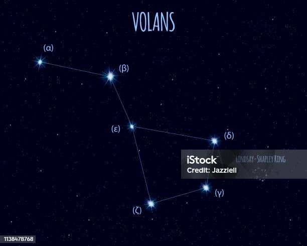 Volans Symbol Volans Constellation Vector Illustration With The Names Of Basic Stars ...