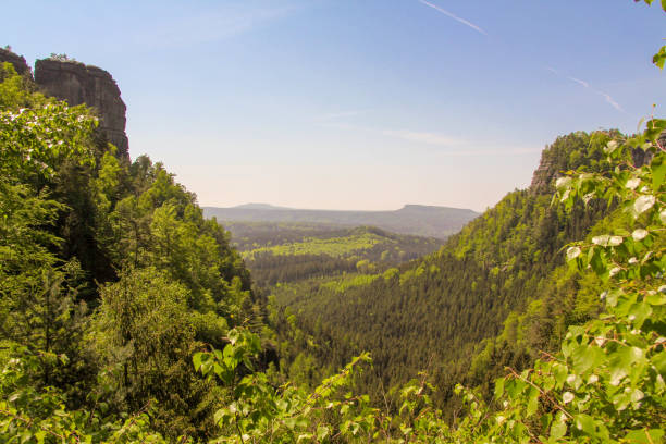 istock Tatras Mountains covered by green pine forests, Czech Republic 1138479834