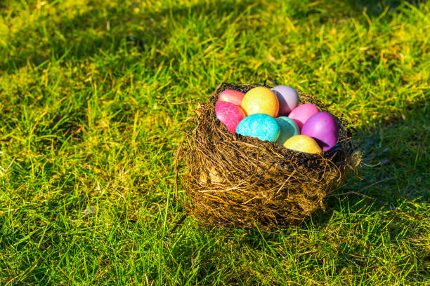 istock bird nest filled with colorful painted eggs, Easter background 1138481132