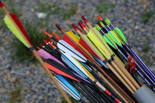 istock Archery / Multi-colored arrows for archery / Sports Archery 1138483826