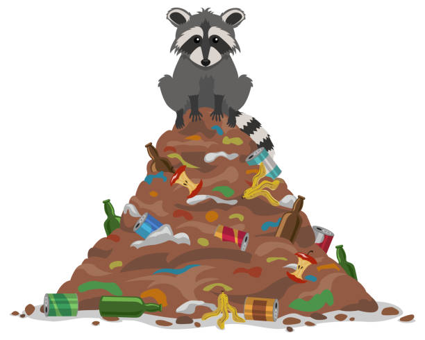 Trash Raccoon A cute raccoon sits on top of a pile of garbage rubbish heap stock illustrations