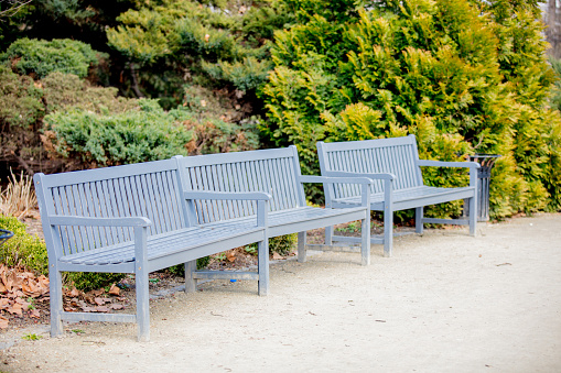 gray Bench in French style in a greenpark. Spring time season