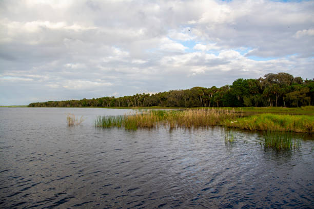 istock Pretty view from a boat of water, clouds,  trees, and grasses 1138487517