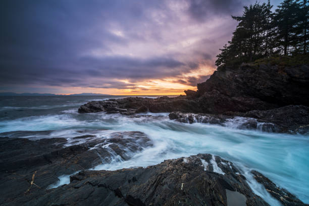 istock Vancouver Island Landscapes 1138489226