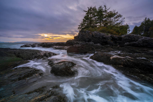 istock Vancouver Island Landscapes 1138489231