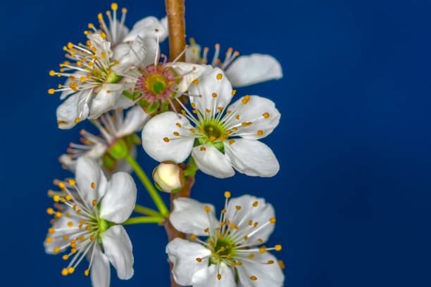 istock Beautiful floral spring abstract background of nature. 1138490616