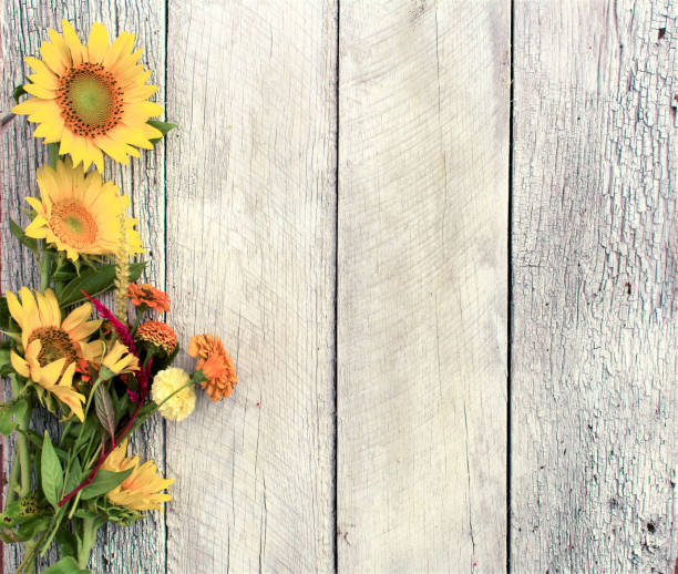istock rustic gray boards with yellow sunflowers 1138493692