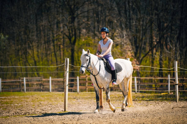 istock Woman practicing with her horse outdoors 1138495252