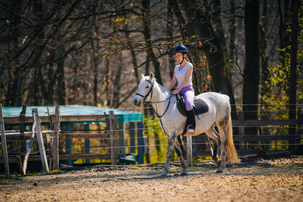 istock Woman practicing with her horse outdoors 1138495297