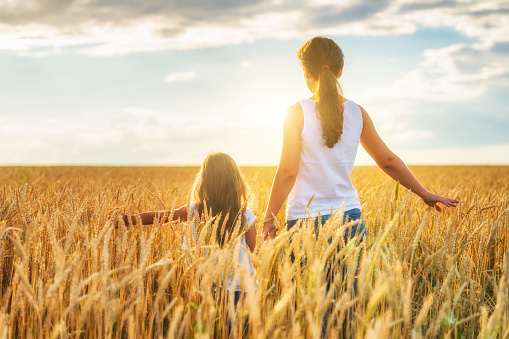 Young woman and her daughter walking on golden wheat field at sunny summer day.