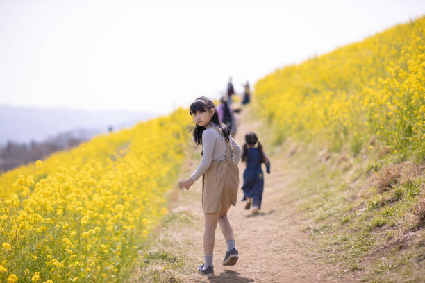 istock Little girl looking over shoulder in oilseed rape field 1138497743