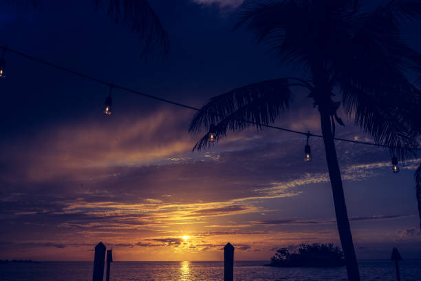 Gorgeous setting sun silhouettes a towering tropical palm tree in a vertical image. Party lights are strung through the tree suggesting a festive and fun atmosphere in a tropical local