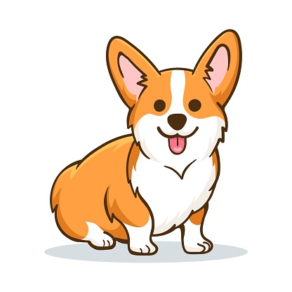 Corgi. Funny orange smiling welsh corgi vector illustration, cute comic canine character